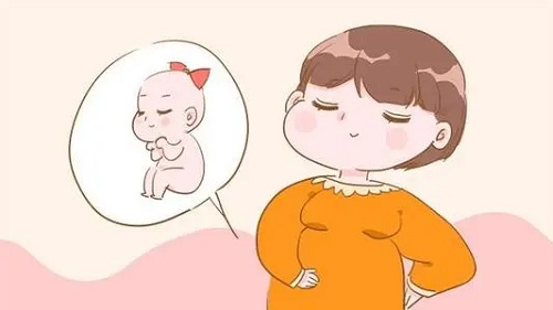 試管嬰兒實驗室步驟表是怎么做的？