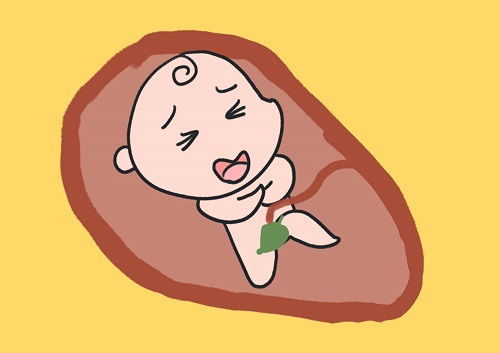 泰國試管嬰兒醫院費用高嗎